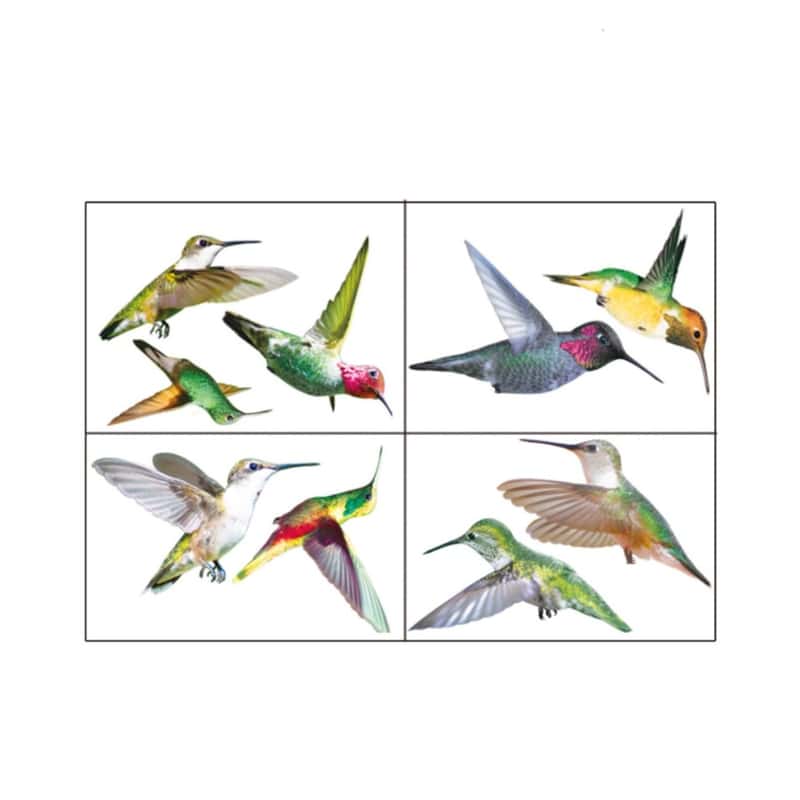 9er Set Vogel Schutz Sticker Aufkleber Deko Kolibri