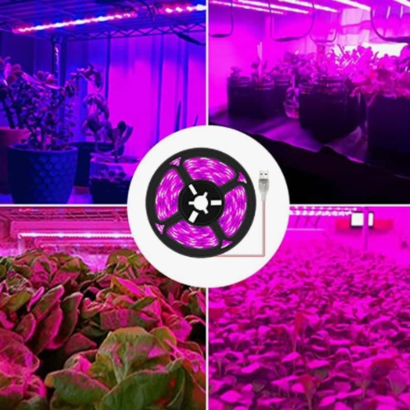 LED-Pflanzen-Wachstums-Streifen, 150 rote & 30 blaue LEDs, 3m, kürzbar -  Ihr Elektronik-Versand in der Schweiz