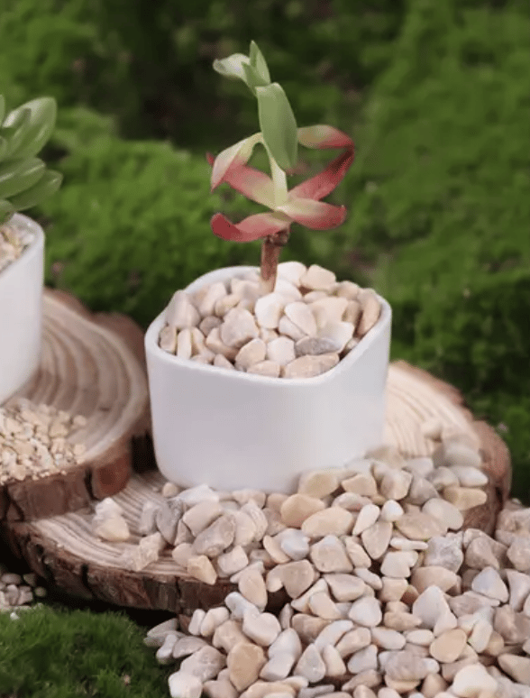 500g) Marmor Steine Mini Kieselsteine Deko
