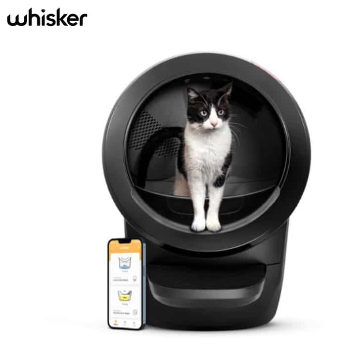 Whisker Litter-Robot Katzen Klo Toilette Schwarz
