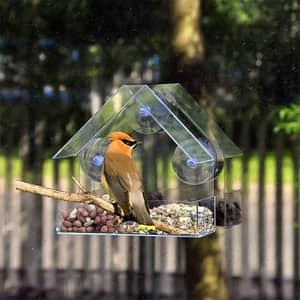 Fenster-Vogelfutterspender Mit Saugnäpfen – Acryl, Wetterfest, Große Füllmenge Für Wildvögel