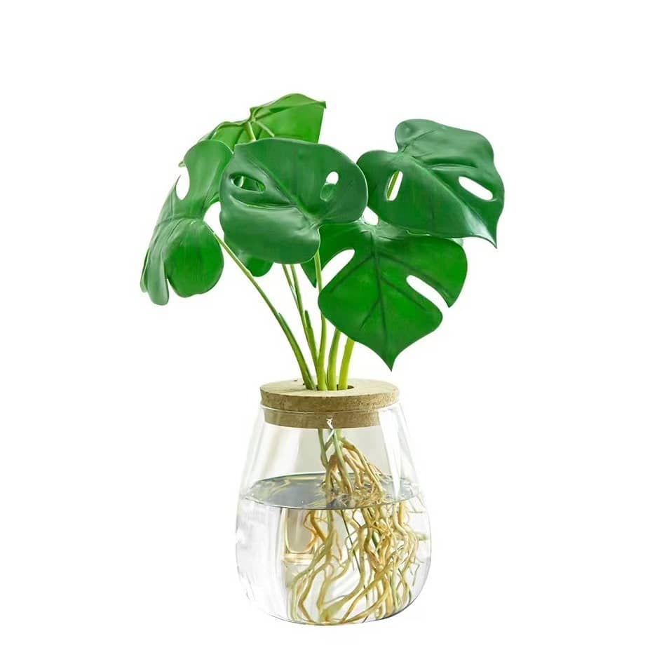 Wandbehang Mit 4 Glas-Pflanzgefäßen - Hydrokultur-Terrarium Für Stecklinge & Sukkulenten
