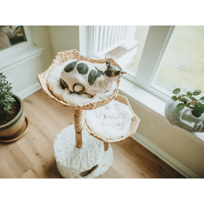 119cm Holzstamm Katzen Baum Sisal Kratzsulen mit Korb