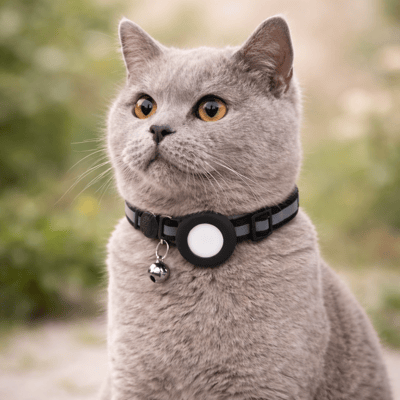 online hundefutter Truthahn, Kalb, Hase, Nudeln & Naturgemüse - gesundes Hundefutter main image 0